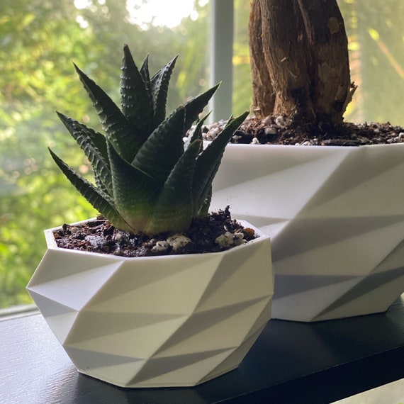 Geometric Desk Planter